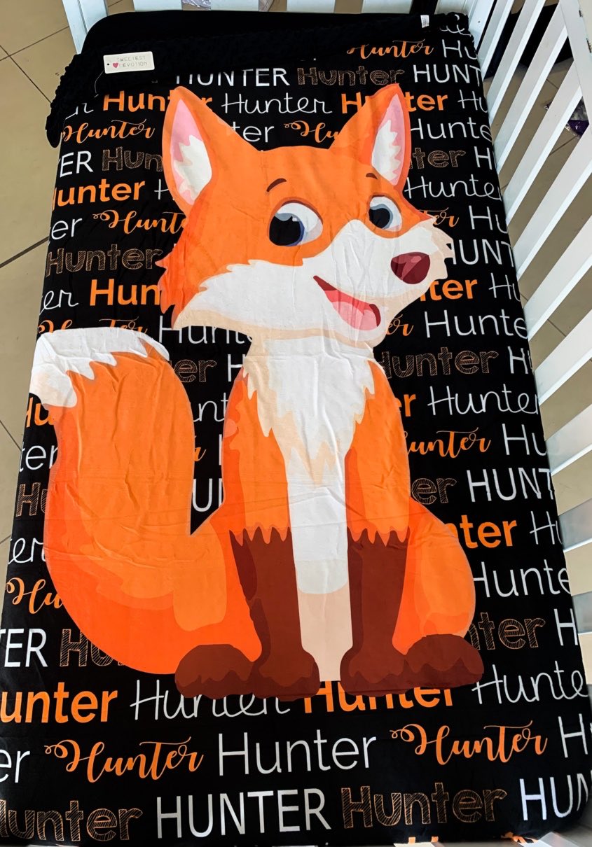 Baby Fox Mink Blanket